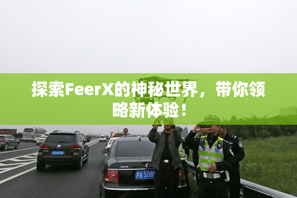 探索FeerX的神秘世界，带你领略新体验！