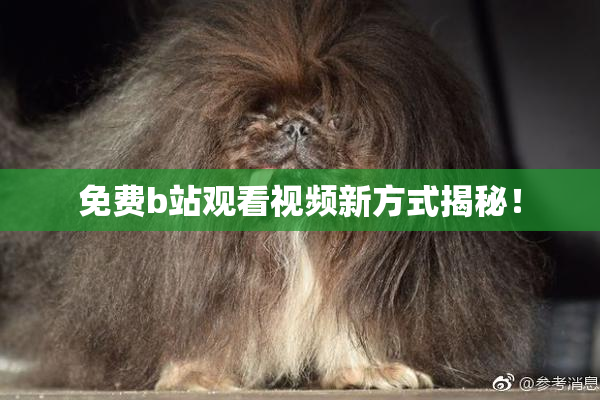 免费b站观看视频新方式揭秘！