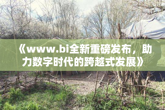 《www.bi全新重磅发布，助力数字时代的跨越式发展》