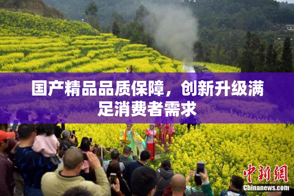 国产精品品质保障，创新升级满足消费者需求