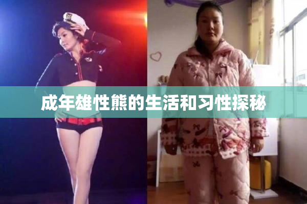 成年雄性熊的生活和习性探秘
