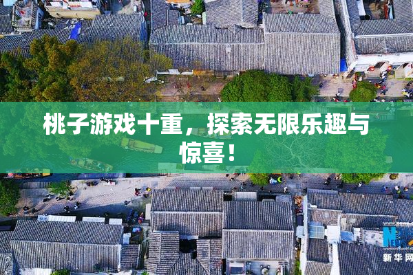 桃子游戏十重，探索无限乐趣与惊喜！