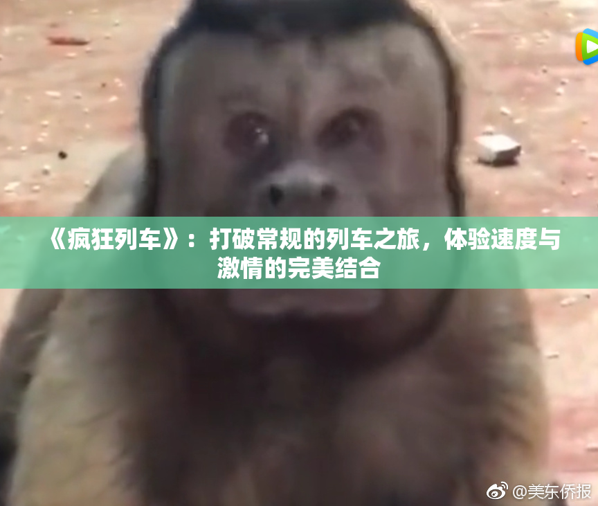 《疯狂列车》：打破常规的列车之旅，体验速度与激情的完美结合
