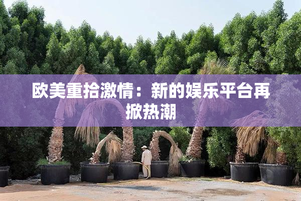 欧美重拾激情：新的娱乐平台再掀热潮