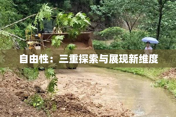 自由性：三重探索与展现新维度