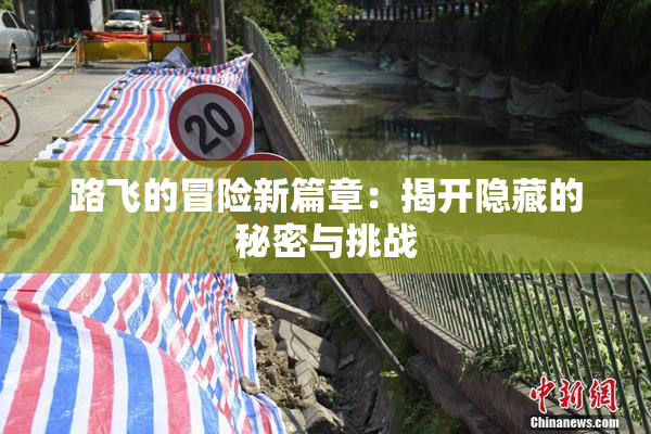 路飞的冒险新篇章：揭开隐藏的秘密与挑战