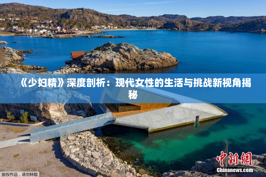 《少妇精》深度剖析：现代女性的生活与挑战新视角揭秘