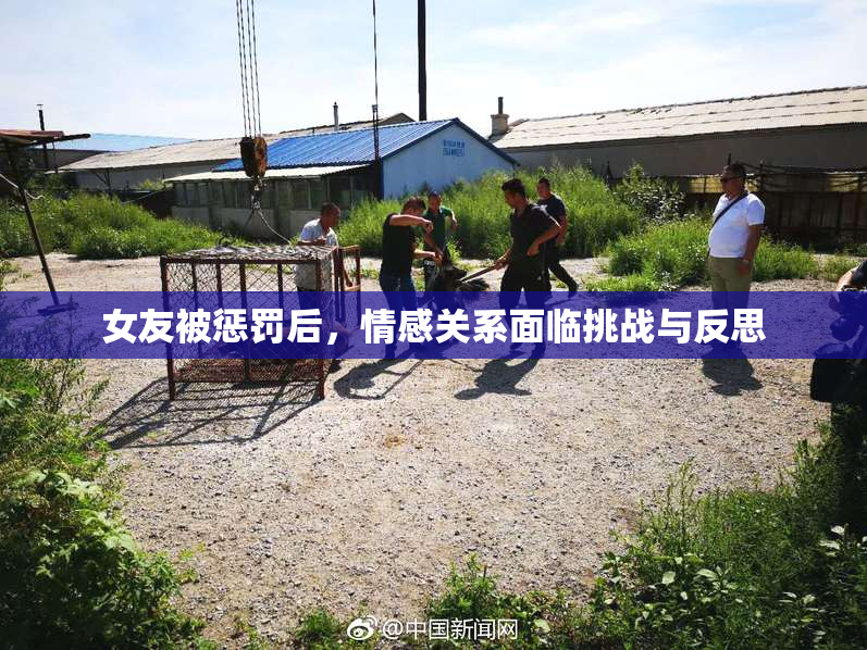 女友被惩罚后，情感关系面临挑战与反思