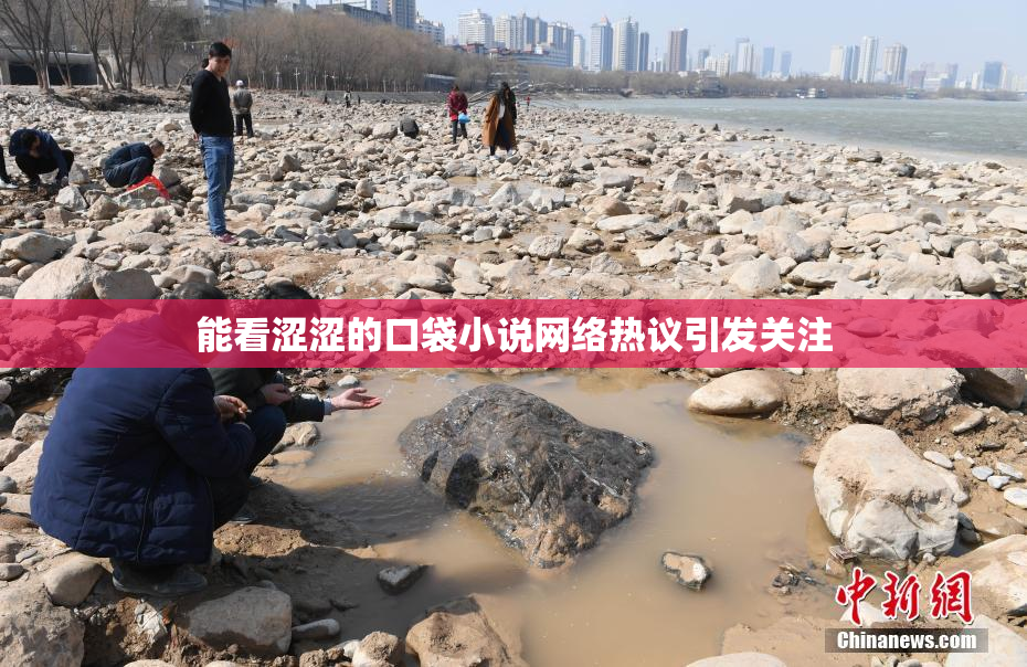 能看涩涩的口袋小说网络热议引发关注