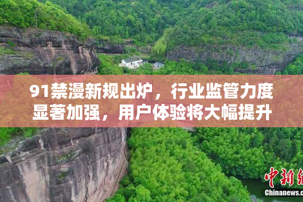 91禁漫新规出炉，行业监管力度显著加强，用户体验将大幅提升