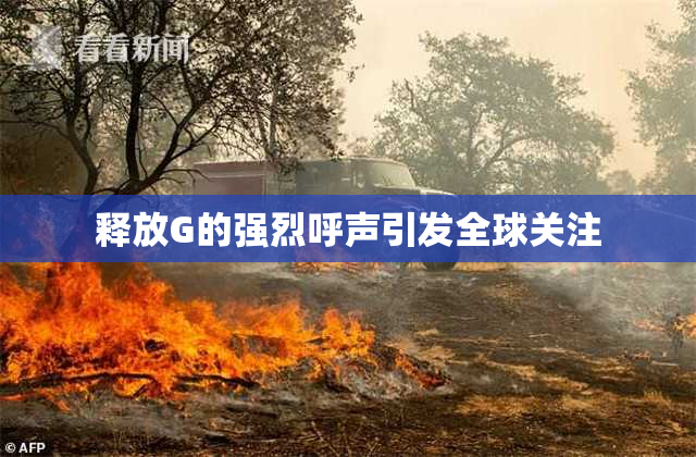 释放G的强烈呼声引发全球关注