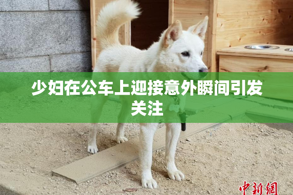 少妇在公车上迎接意外瞬间引发关注