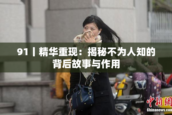 91丨精华重现：揭秘不为人知的背后故事与作用
