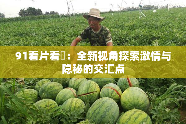91看片看婬：全新视角探索激情与隐秘的交汇点