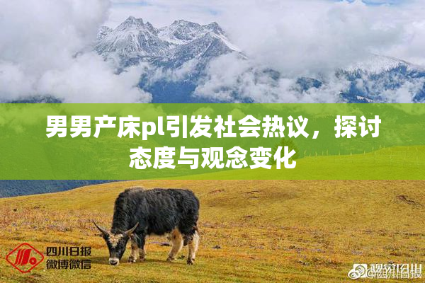 男男产床pl引发社会热议，探讨态度与观念变化