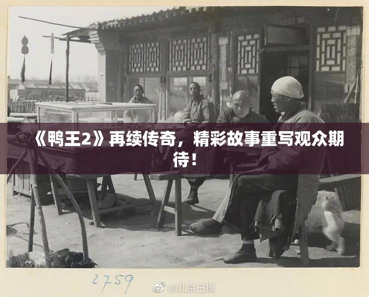 《鸭王2》再续传奇，精彩故事重写观众期待！