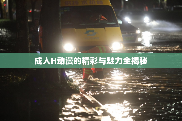 成人H动漫的精彩与魅力全揭秘