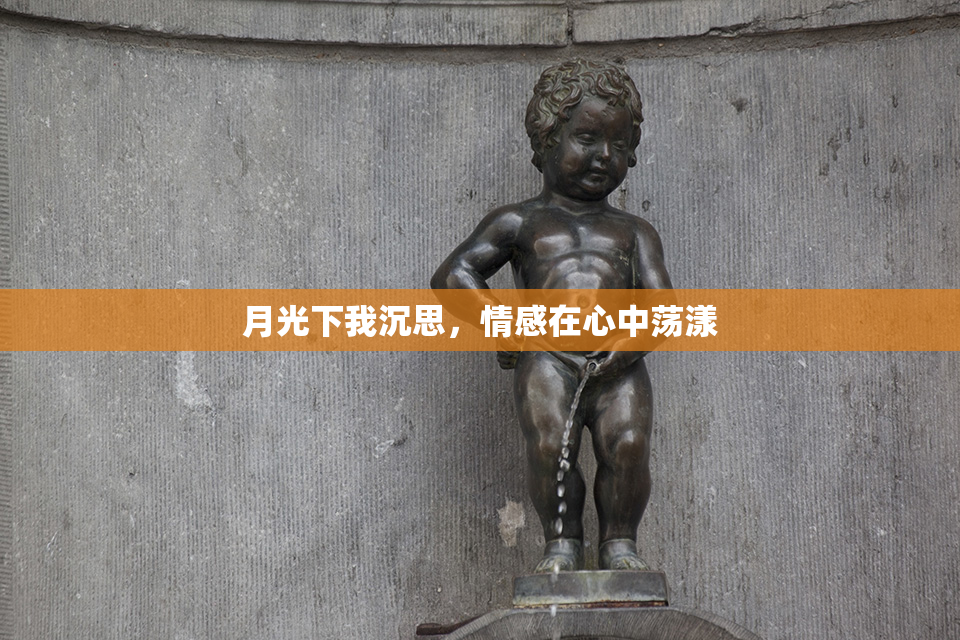 月光下我沉思，情感在心中荡漾