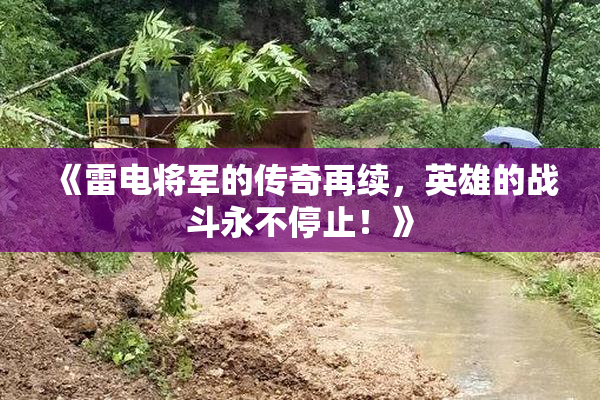 《雷电将军的传奇再续，英雄的战斗永不停止！》