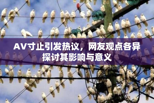 AV寸止引发热议，网友观点各异探讨其影响与意义