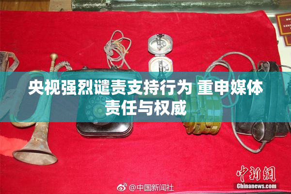 央视强烈谴责支持行为 重申媒体责任与权威