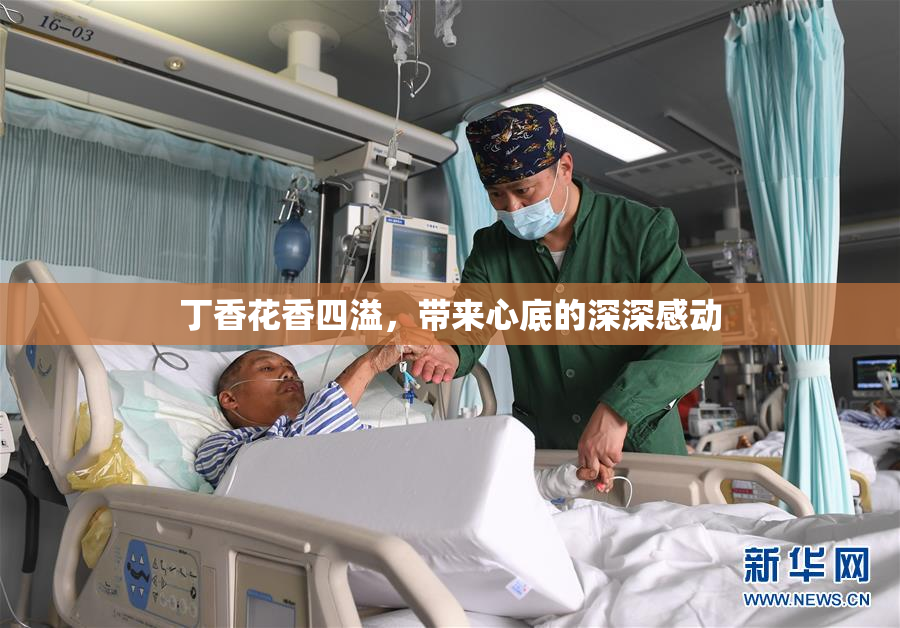 丁香花香四溢，带来心底的深深感动