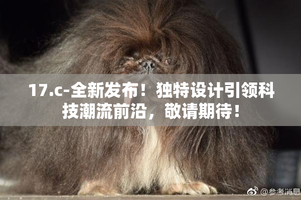 17.c-全新发布！独特设计引领科技潮流前沿，敬请期待！