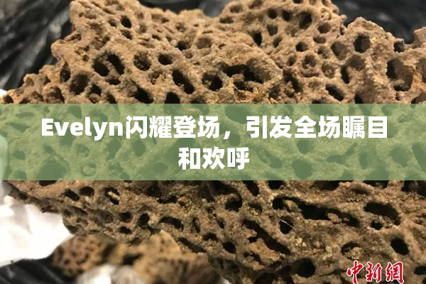 Evelyn闪耀登场，引发全场瞩目和欢呼