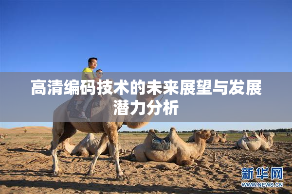 高清编码技术的未来展望与发展潜力分析
