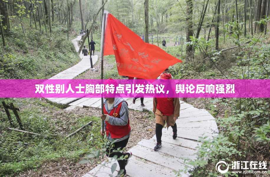 双性别人士胸部特点引发热议，舆论反响强烈