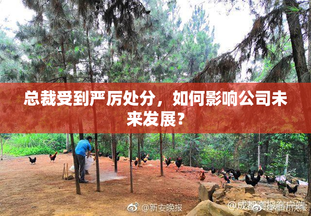总裁受到严厉处分，如何影响公司未来发展？