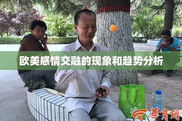 欧美感情交融的现象和趋势分析