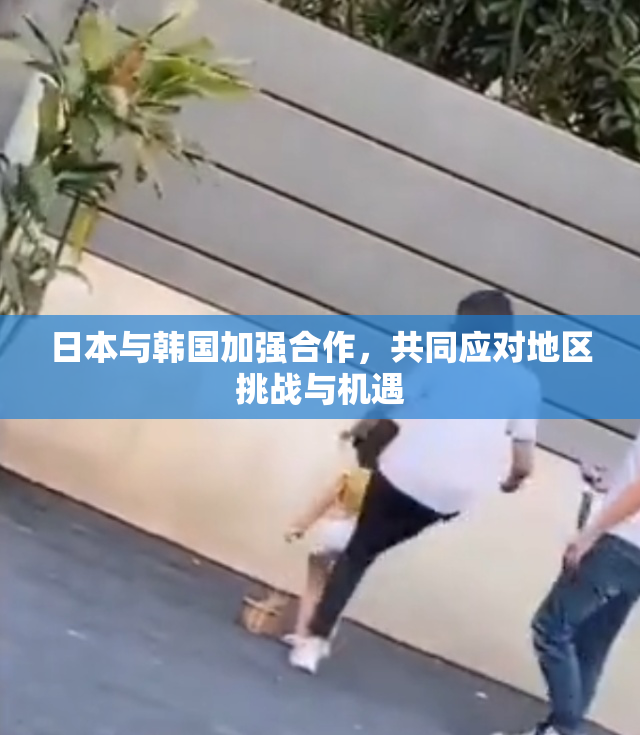 日本与韩国加强合作，共同应对地区挑战与机遇