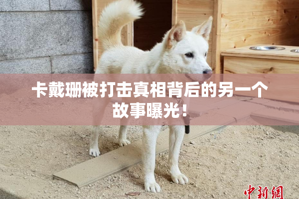 卡戴珊被打击真相背后的另一个故事曝光！