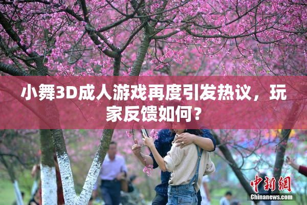 小舞3D成人游戏再度引发热议，玩家反馈如何？