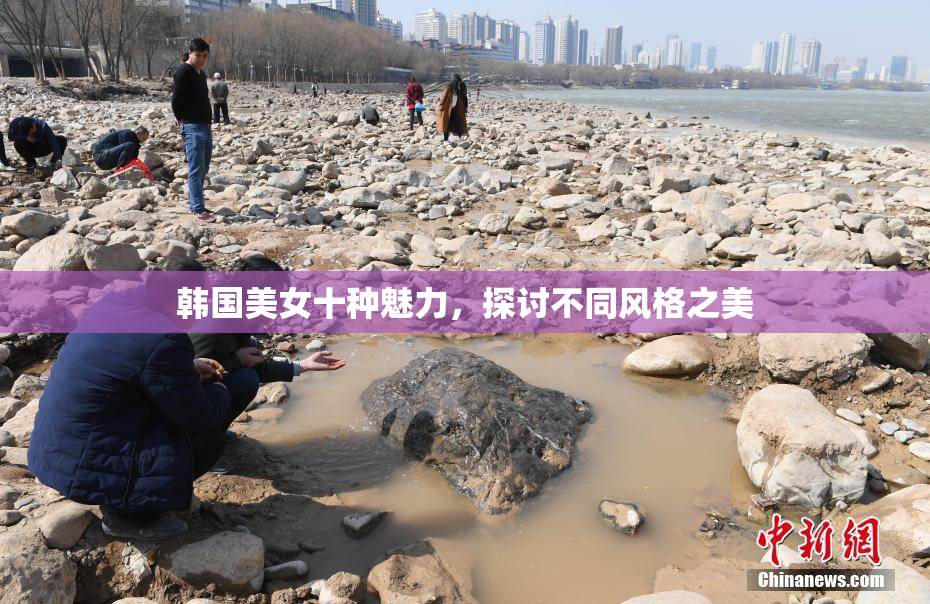韩国美女十种魅力，探讨不同风格之美