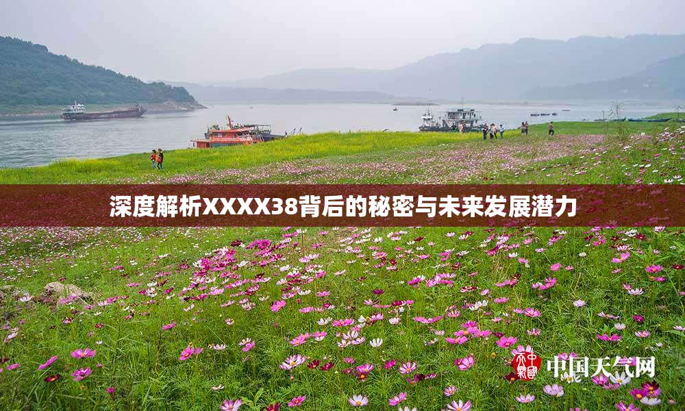 深度解析XXXX38背后的秘密与未来发展潜力