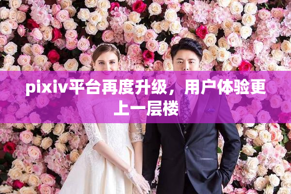 pixiv平台再度升级，用户体验更上一层楼