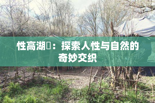 性高湖婬：探索人性与自然的奇妙交织