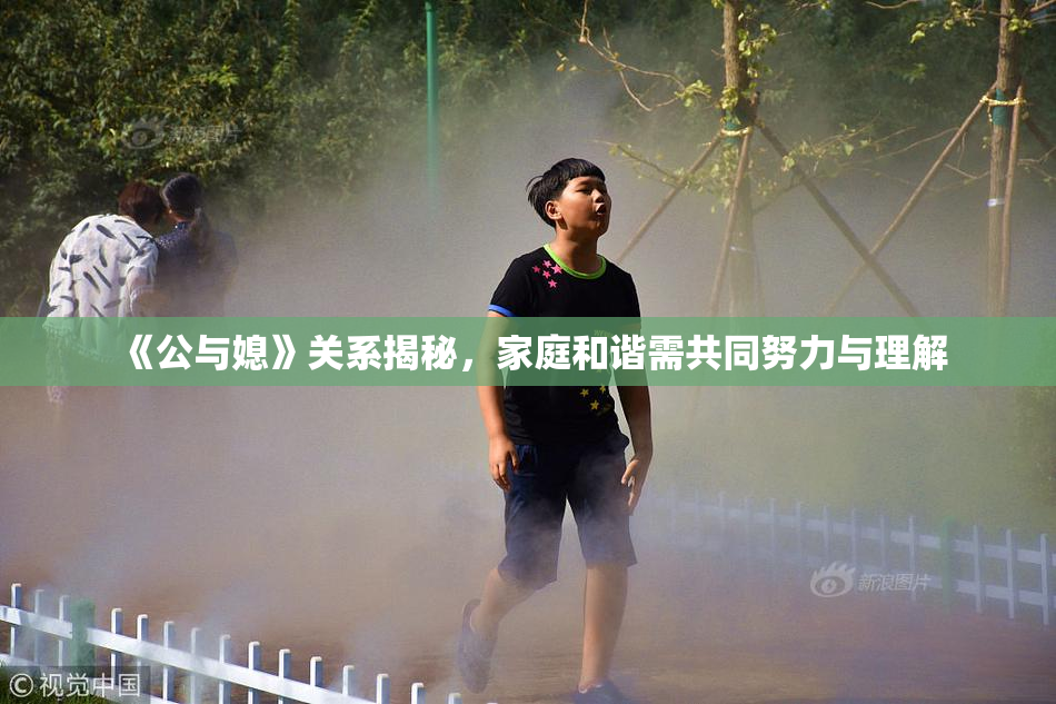 《公与媳》关系揭秘，家庭和谐需共同努力与理解