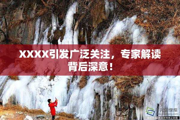 XXXX引发广泛关注，专家解读背后深意！