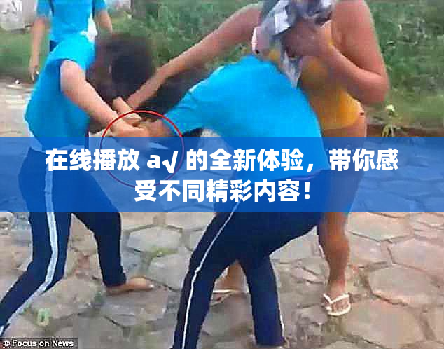 在线播放 a√ 的全新体验，带你感受不同精彩内容！