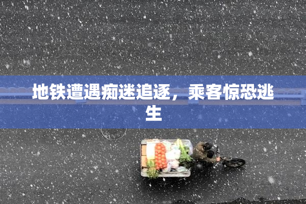 地铁遭遇痴迷追逐，乘客惊恐逃生