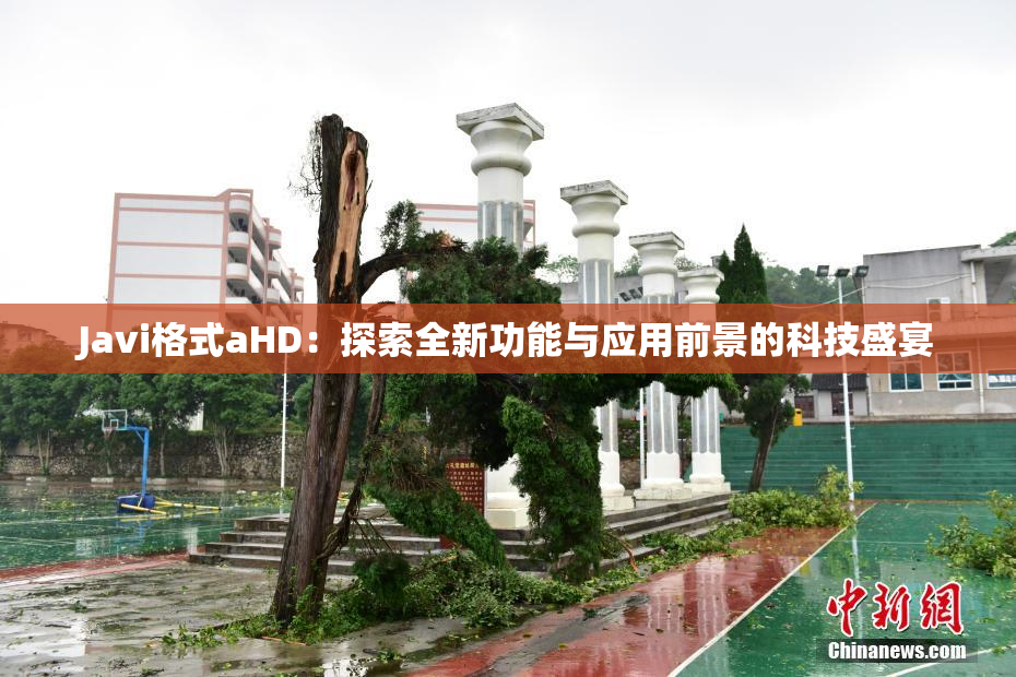 Javi格式aHD：探索全新功能与应用前景的科技盛宴