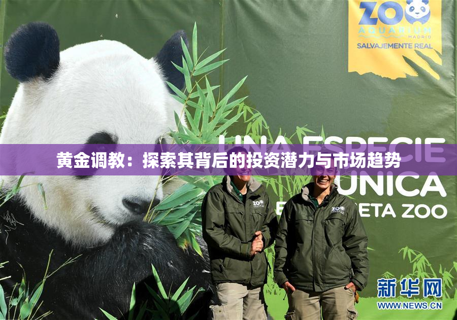 黄金调教：探索其背后的投资潜力与市场趋势