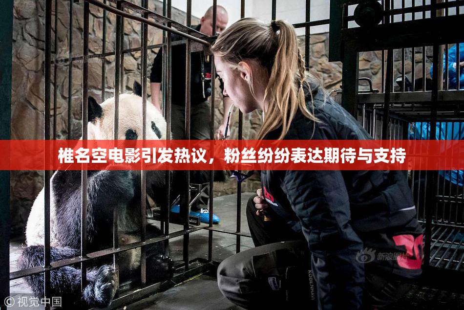 椎名空电影引发热议，粉丝纷纷表达期待与支持