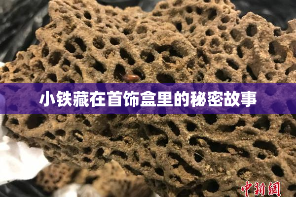 小铁藏在首饰盒里的秘密故事
