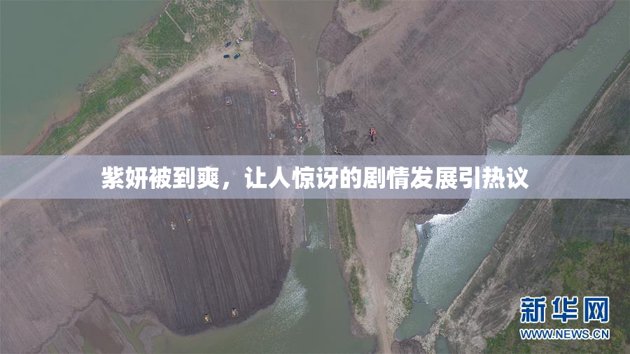 紫妍被到爽，让人惊讶的剧情发展引热议