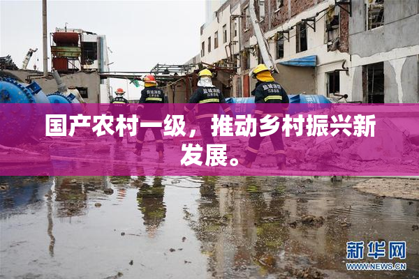 国产农村一级，推动乡村振兴新发展。
