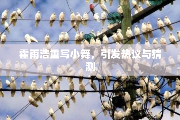 霍雨浩重写小舞，引发热议与猜测